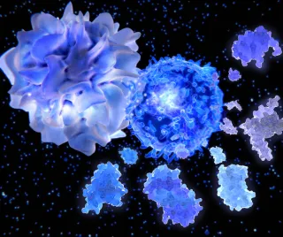 Managing Autoimmune Diseases: A Holistic Approach Based on Environmental Medicine