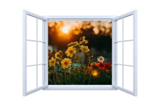 A Place of My Own
