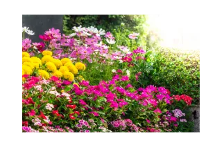 Sunday Cottage Escape: Finding Peace in the Little Things