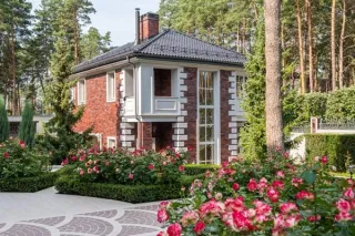 Contemporary Landscape Design Trends for 2025