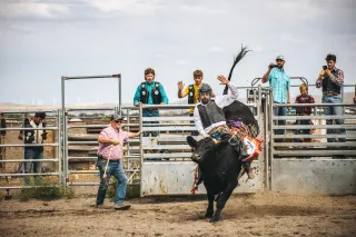 Top 10 Mistakes Every Beginner Bull Rider Should Avoid