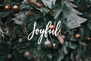 IM of CNY's December 2022 Newsletter is Here!