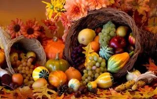 IM of CNY November 2022 Newsletter