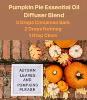 Essential Oil Spotlight: Pumpkin Pie Diffuser Blend