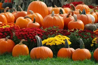 October 2022 Newsletter