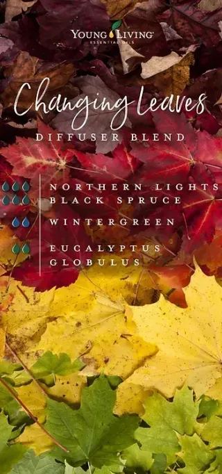 Essential Oil Spotlight: Changing Leaves Diffuser Blend