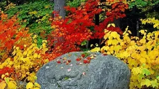 September 2022 Newsletter