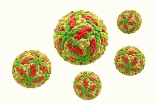 Lyme Coinfection Series-Powassan Virus
