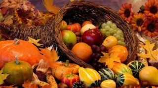 November Newsletter