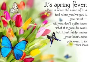 Spring Fever