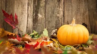 Proactive Tips to Stay Healthy this Fall!