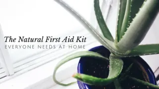 Keep These Natural Items on Hand for First Aid