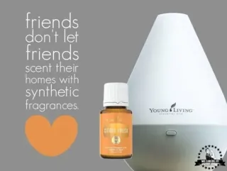 Fall Scents Y’all