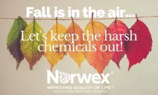 Fall in Love with Chemical Free Cleaning