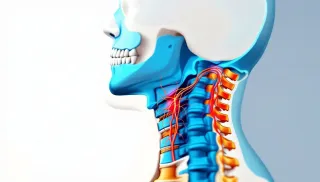Can Neck Pain Cause Lower Back Pain? Understanding the Link