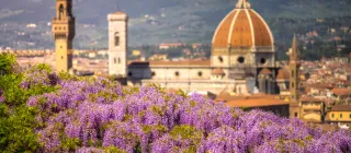 Best Time to Visit Florence: Month-by-Month Travel Guide