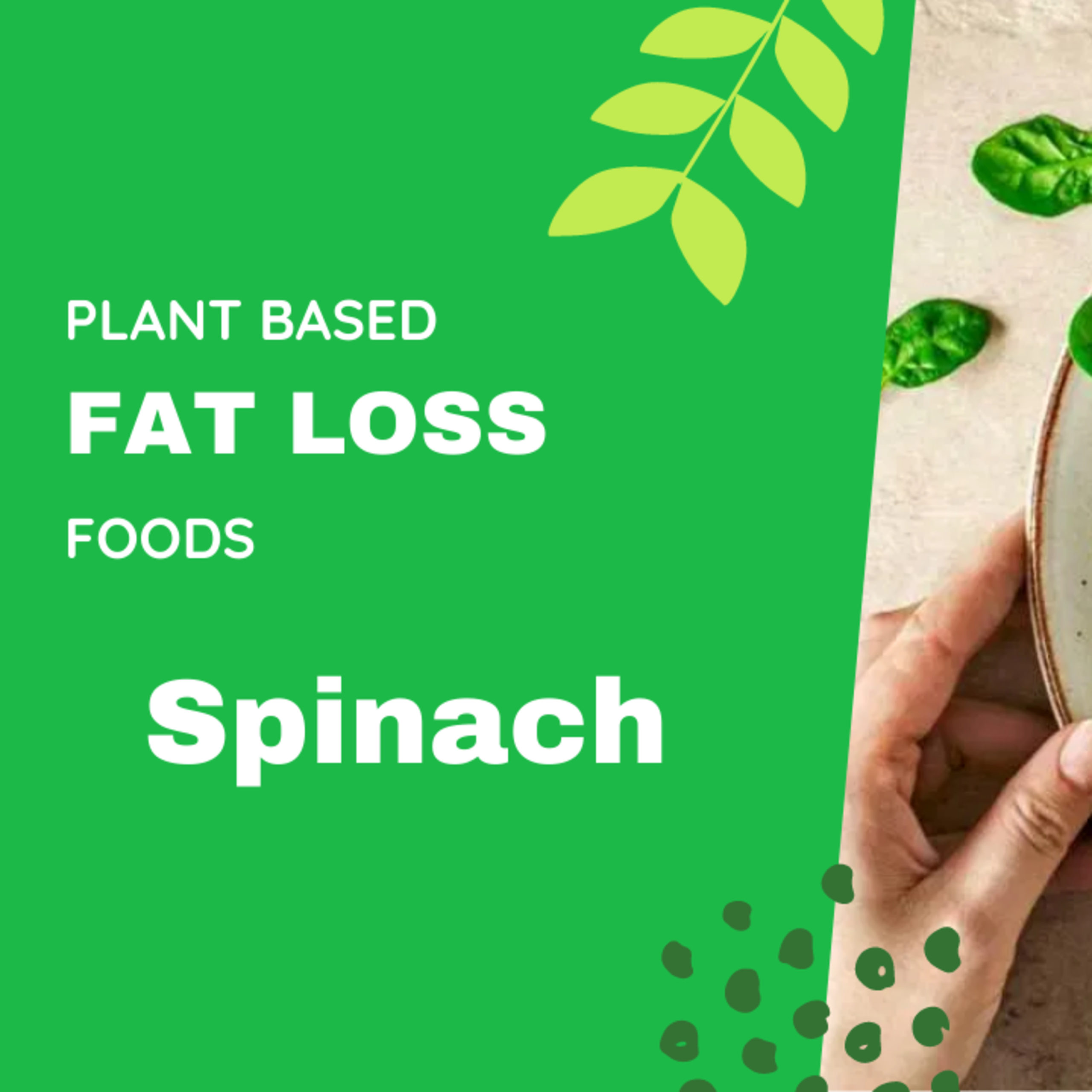 Why you NEED to be eating Fat Shredding Spinach 🥗