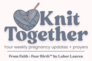 Weeks 41–42: The Sacred Wait