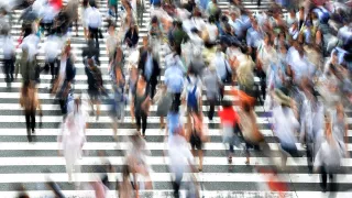 How common is tinnitus?