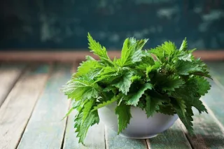 Up Your Health In 2021 With These 2 Tonic Herbs!