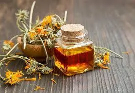 Herbal Energetics & Skin Types: A Botanical Approach to Balance