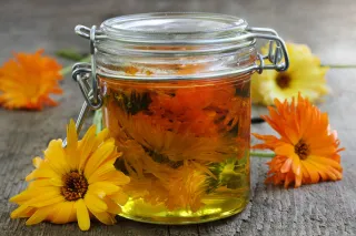 A Holistic Approach to After-Sun Care: Nourishing Skin with Herbal Infused Oils & Tallow