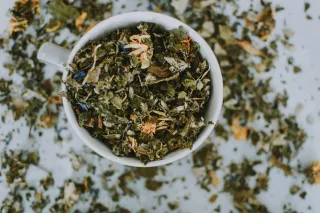Slow Medicine for Long-Term Vitality: Understanding Tonic Herbs