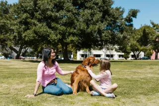 Petting Your Dog: A God-Given Boost for Your Brain