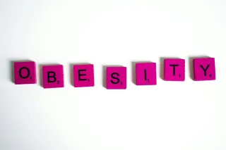 Obesity and Your Brain: A Neuroscience-Informed Path to Clarity and Peace