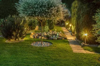 Landscaping Ideas That Can Raise—or Lower—Your Home’s Value