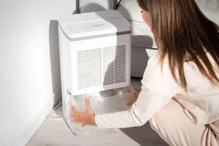 5 Tips for Eliminating Musty Odors in Your Home