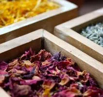 Selecting the Right Herbs for Your Yoni Steam