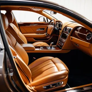 Houston’s Climate and Your Luxury Vehicle: Why Interior Detailing Matters