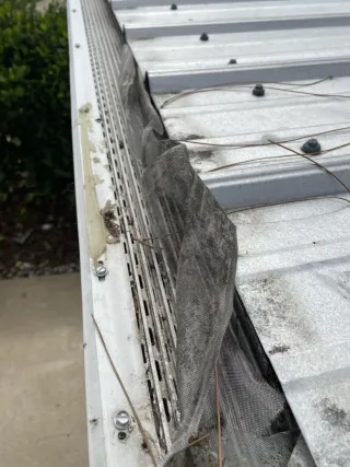 Lets Talk About Leaf Guards For A Minute