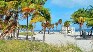 🏖️ Crandon Park: Your Ultimate Miami Beach Day Guide with Car & Hotel Tips