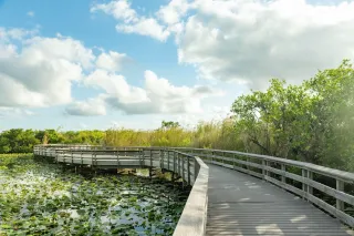 🚗 Exploring the Everglades: Where to Stay, What to Drive, and How to Plan Your South Florida Adventure