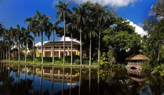 🌴 Explore Bonnet House Museum & Gardens: Your Ultimate South Florida Travel Guide