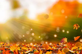 The Quiet Power of November