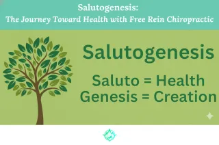 Salutogenesis: The Journey Toward Health with Free Rein Chiropractic