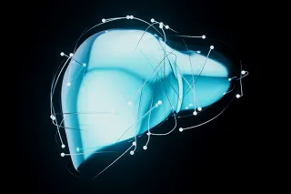 FibroScan vs biopsia hepática: ¿en qué se diferencian?