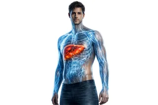 Hígado graso: lo que necesitas saber antes de alarmarte