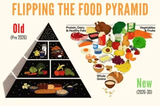Rethinking the Food Pyramid: Emphasizing Quality