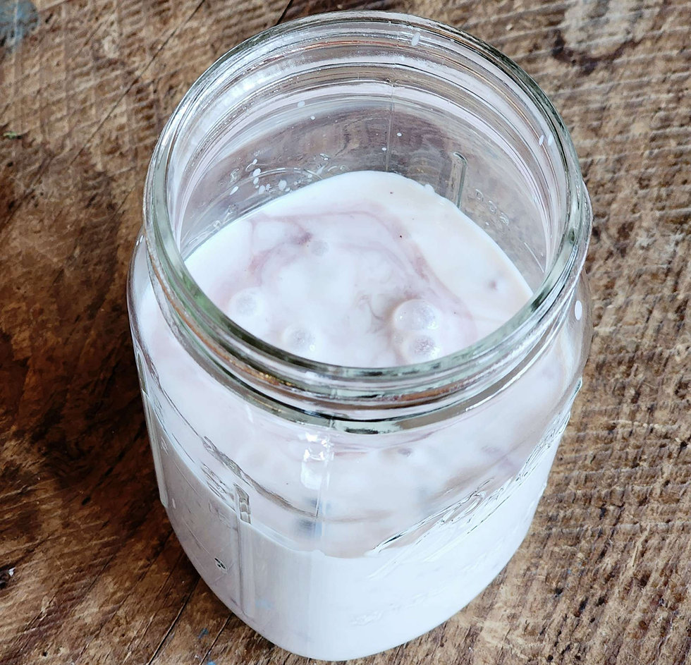 The Ultimate Kefir Guide