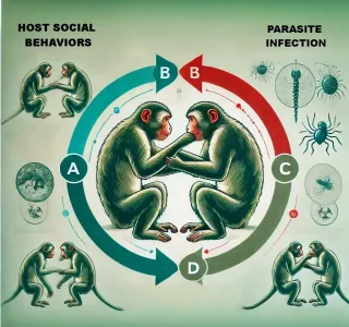 Behavioral and Social Research in Parasitology