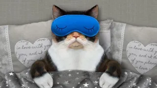 5 Skin Saving Tips Through Better Sleep