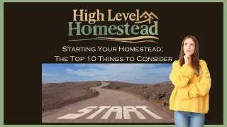 Starting Your Homestead: The Top 10 Things to Consider