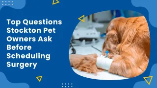 Top Questions Stockton Pet Owners Ask Before Scheduling Surgery