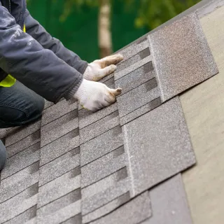 The Bear Necessities of Roof Maintenance: Tips to Keep Your Roof Healthy and Sturdy