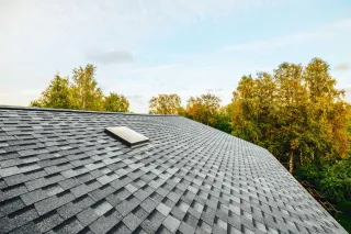 Big Bear Roofing: A Paws-itive Force in the Pocatello Community!