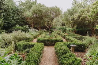 Bloom and Unwind: Charlotte’s McGill Garden is Calling


